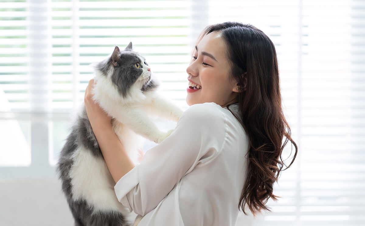 如何為您的寵物選擇最合適的飲食結構？（優缺點大評比）